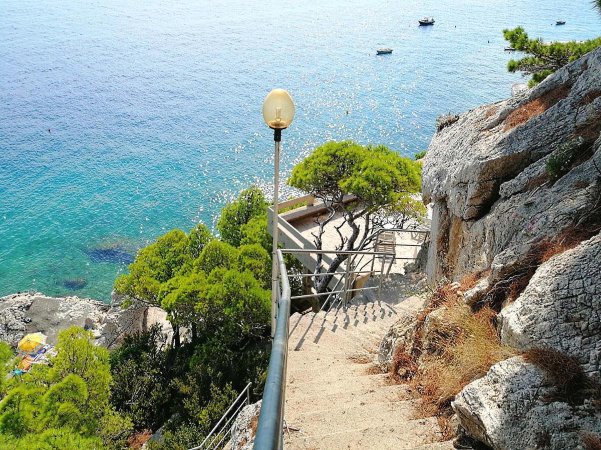 Jadranka Marusici (Split-Dalmatia)